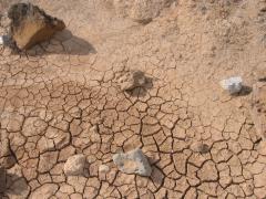 src/IMG_6430.JPG