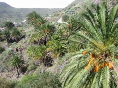 src/IMG_6474.JPG