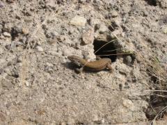 src/IMG_6488.JPG