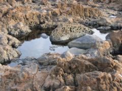 src/IMG_6531.JPG
