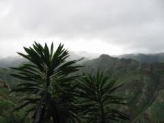 src/IMG_6666.JPG