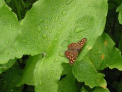 src/IMG_6686.JPG