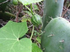 src/IMG_6688.JPG