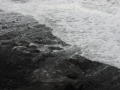 src/IMG_6806.JPG