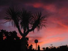 src/IMG_6821.JPG