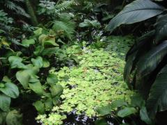 src/IMG_7048.JPG