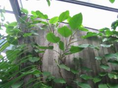 src/IMG_7068.JPG