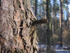 src/IMG_7210.JPG